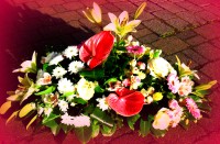 /album/galerie-de-photos-le-deuil/gp-05-jpg/